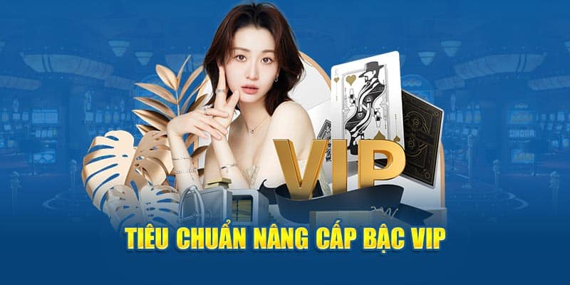 Tiêu chuẩn nâng cấp bậc VIP