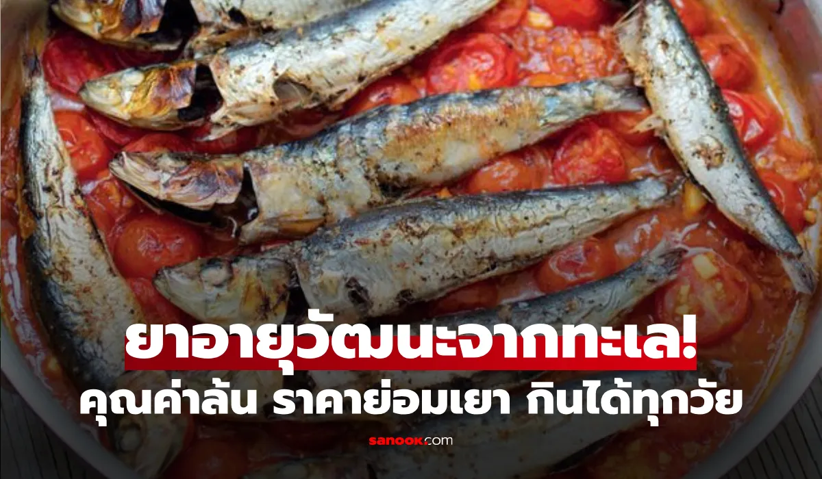 ปลาซาร์ดีน สุขภาพดี ราคาถูก แต่อัดแน่นสารอาหารครบถ้วน