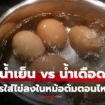การต้มไข่ น้ำเย็น vs น้ำเดือด วิธีต้มไข่ไม่แตก ปอกง่าย และไข่แดงตรงกลางสวย