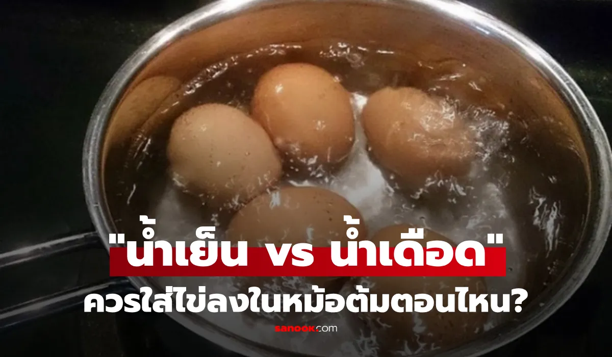 การต้มไข่ น้ำเย็น vs น้ำเดือด วิธีต้มไข่ไม่แตก ปอกง่าย และไข่แดงตรงกลางสวย
